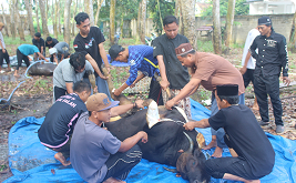 Ibadah Qurban